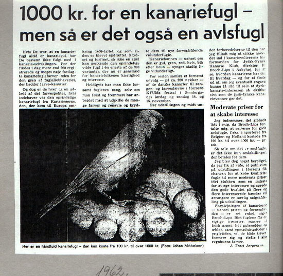 kanariefugl 1000- kr. 1962R