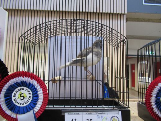 IMG 1724R