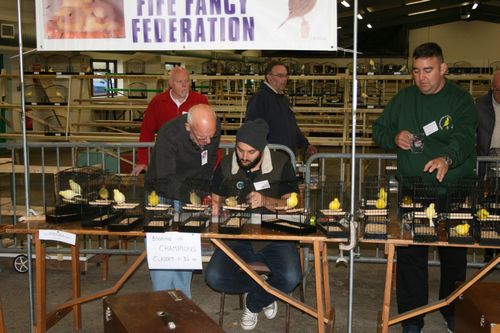 foto FFFs ind checkning fugle ankommer lørdag aften