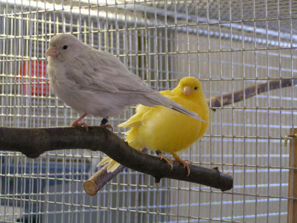 pict0025